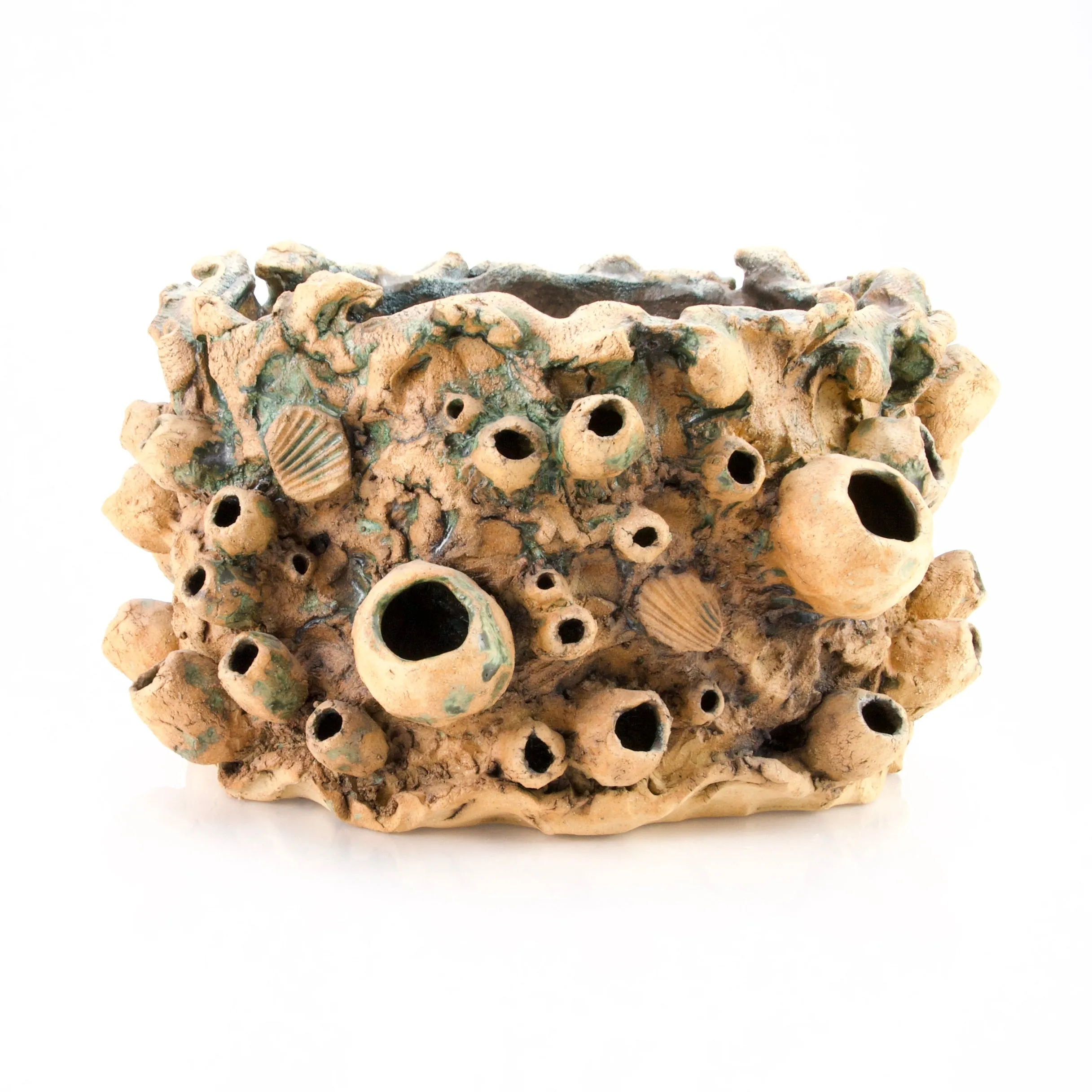 Large Barnacle Sculpture/ Planter - Tan with Oxides