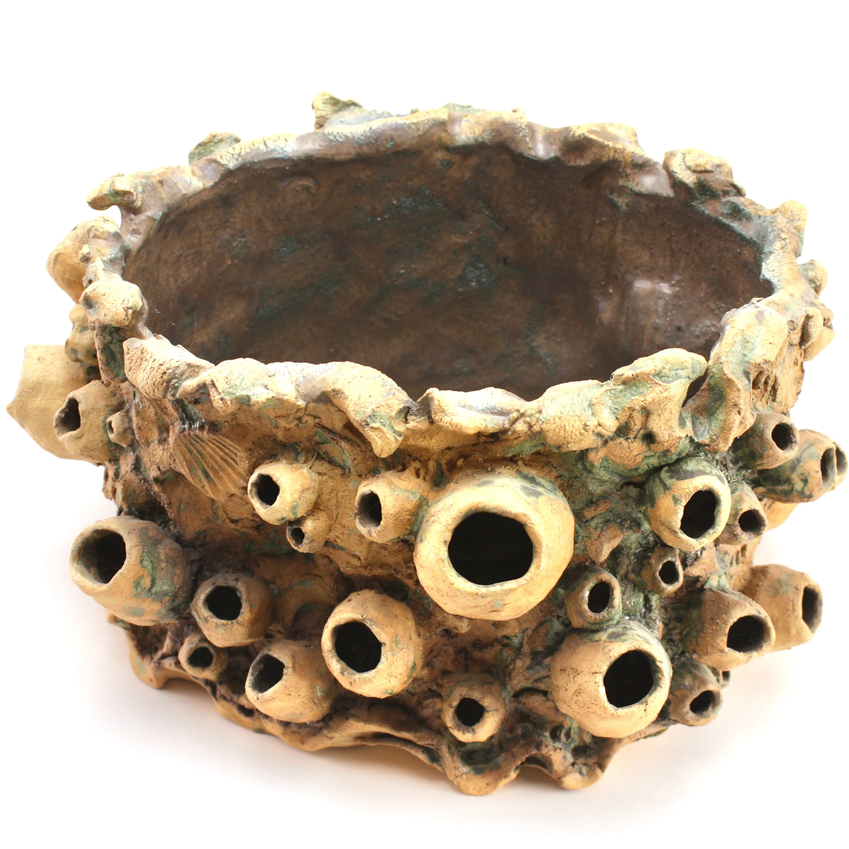 Large Barnacle Sculpture/ Planter - Tan with Oxides