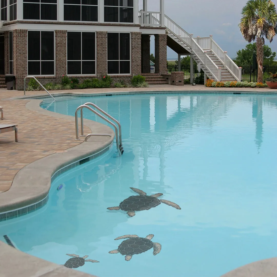 Loggerhead Turtle - Brown w/Shadow - Pool Mosaic