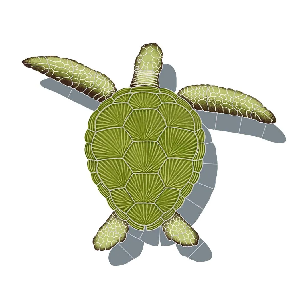 Loggerhead Turtle - Green w/Shadow - Pool Mosaic